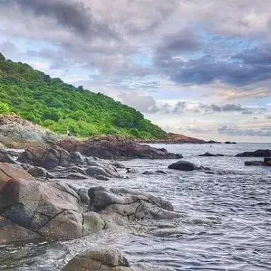 Rocks and green hills by the sea, where the group walks.
