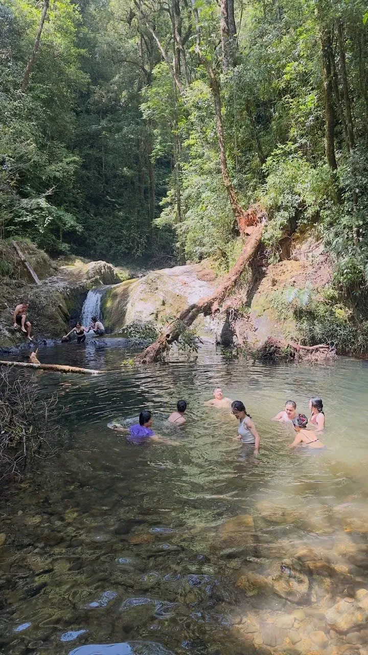 Cả nhóm bơi trong một hồ nước trong giữa rừng, bên một thác nhỏ.
